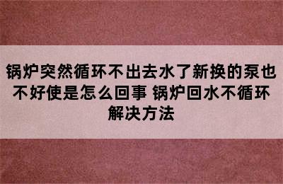 锅炉突然循环不出去水了新换的泵也不好使是怎么回事 锅炉回水不循环解决方法